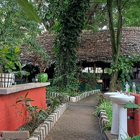 Ibrahim Garden Hostel Arusza Zewnętrze zdjęcie