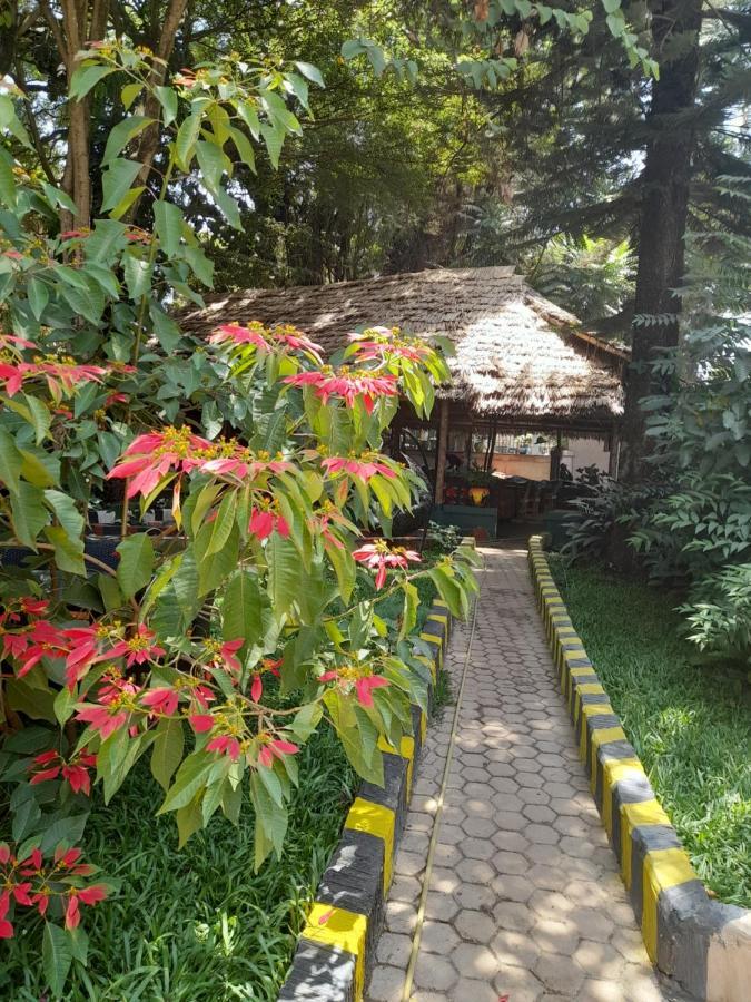 Ibrahim Garden Hostel Arusza Zewnętrze zdjęcie